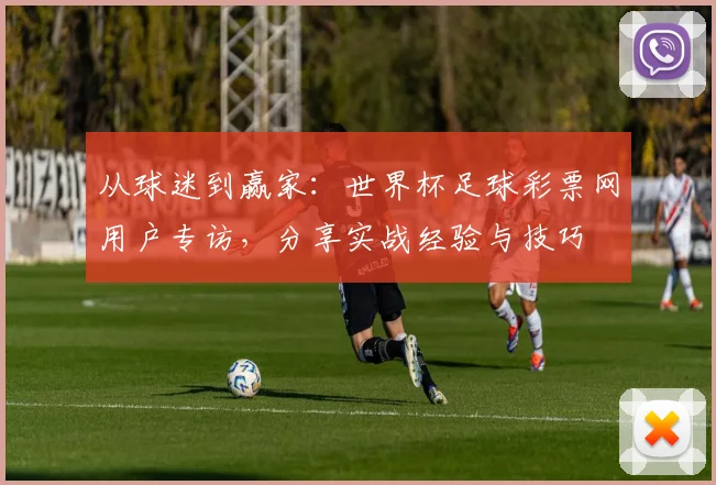 从球迷到赢家：世界杯足球彩票网用户专访，分享实战经验与技巧