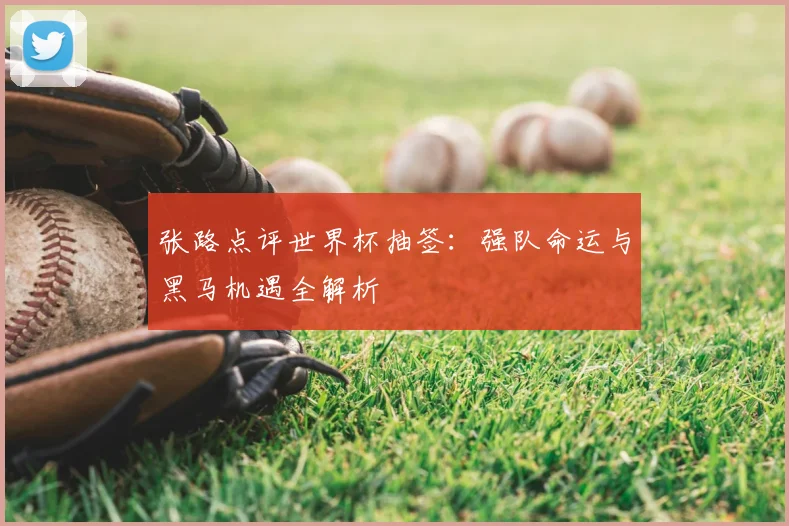 张路点评世界杯抽签：强队命运与黑马机遇全解析