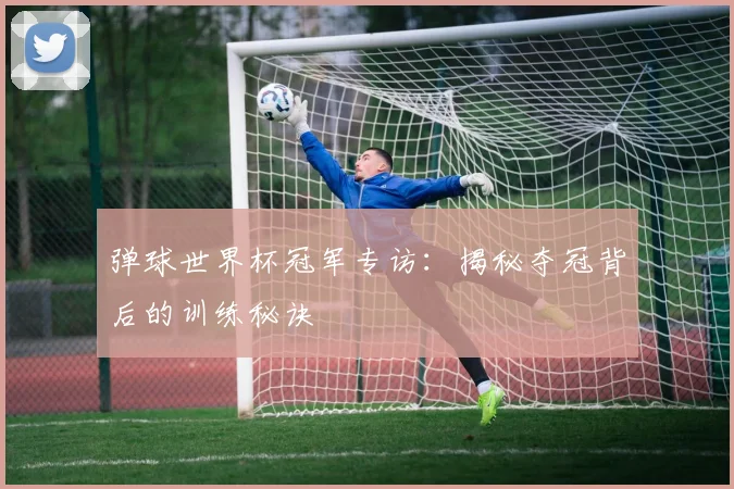 弹球世界杯冠军专访：揭秘夺冠背后的训练秘诀