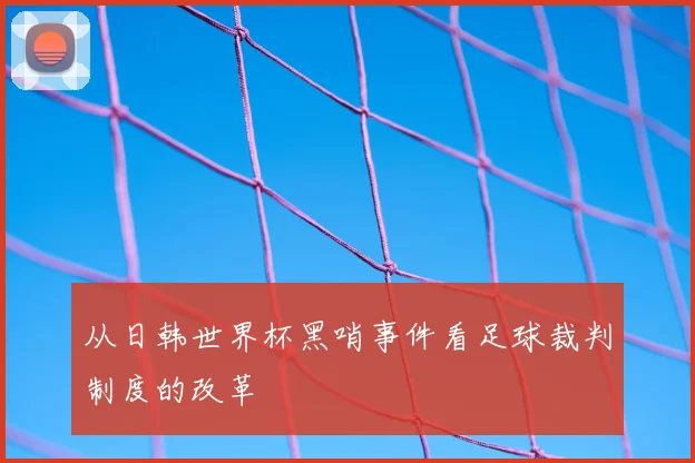 从日韩世界杯黑哨事件看足球裁判制度的改革