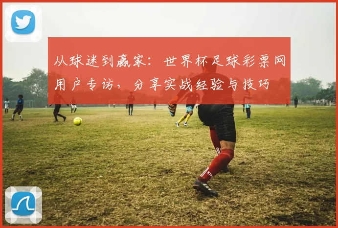 从球迷到赢家：世界杯足球彩票网用户专访，分享实战经验与技巧