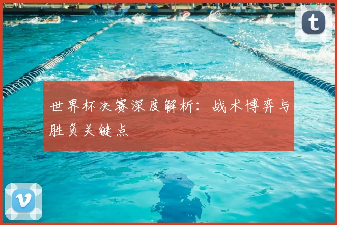 世界杯决赛深度解析：战术博弈与胜负关键点